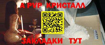 прущие грибы Дубна