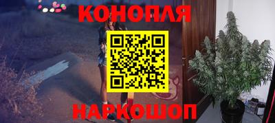 прущие грибы Дубна