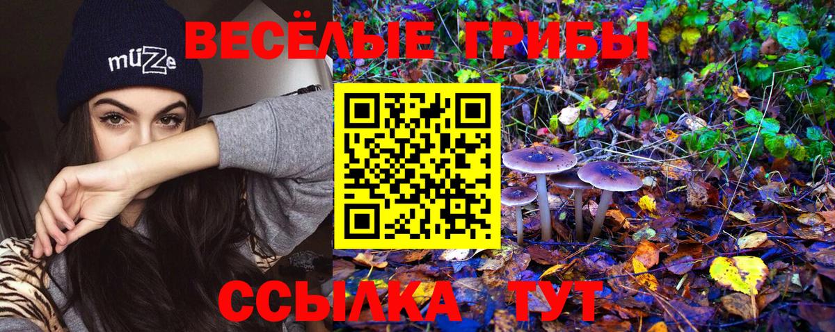 Псилоцибиновые грибы ЛСД Лесной
