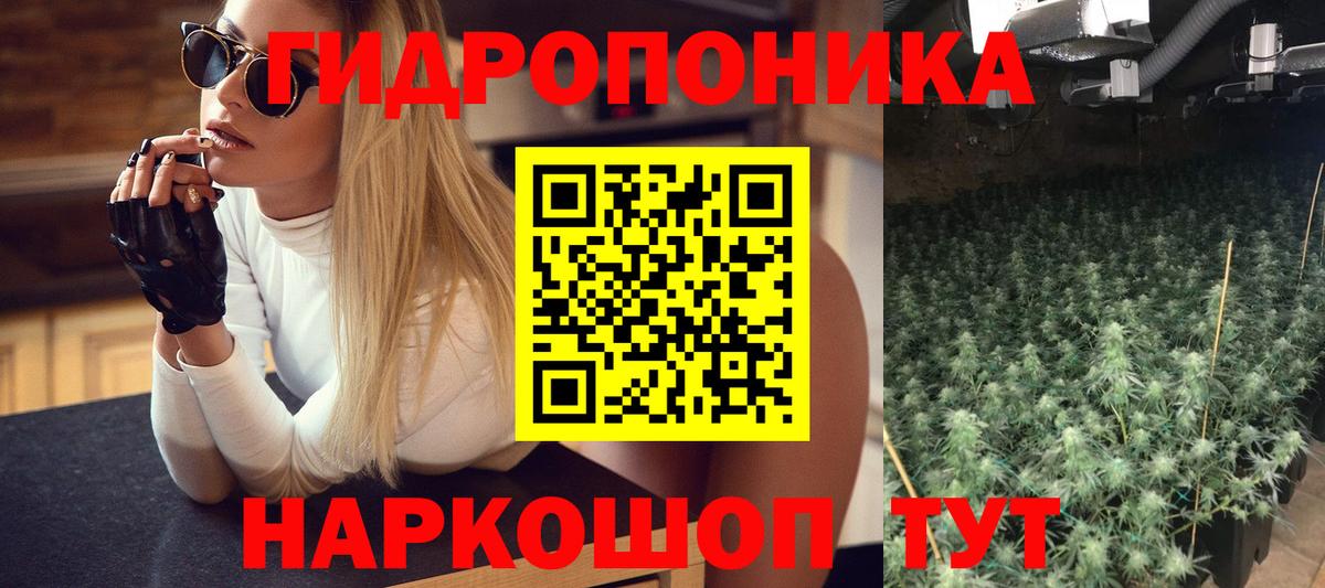 Шишки марихуана сатива Лесной